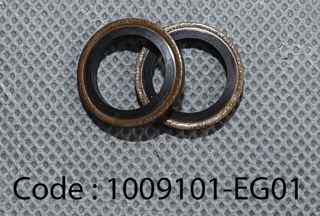 GASKET-OIL DRAIN PLUG