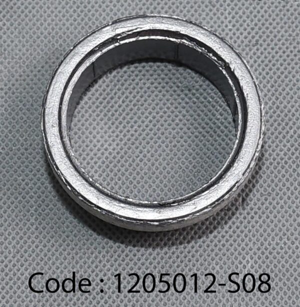 SEAL RING for M4