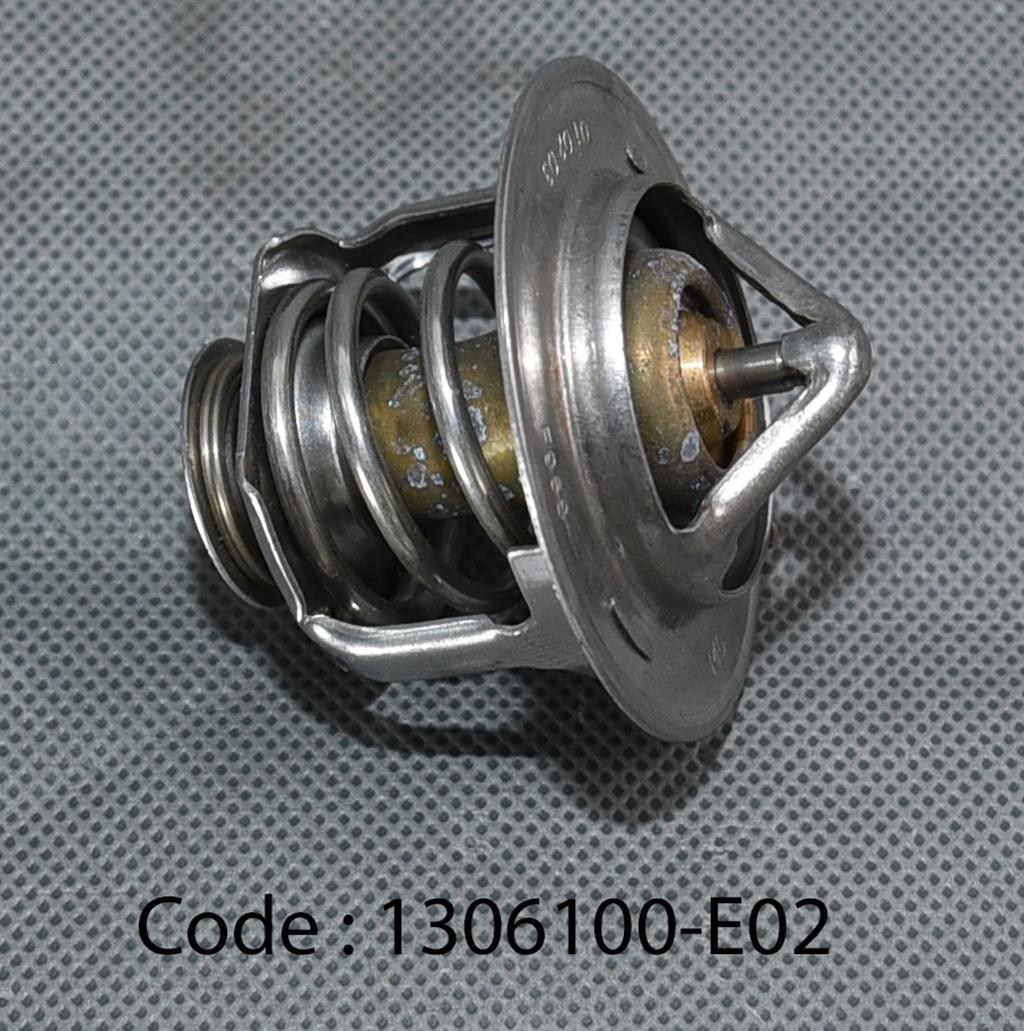 THERMOSTAT ASSY-Slabe-Water for Wingle
