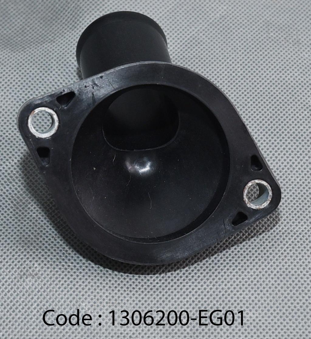 THERMOSTATCAPSUBASSY